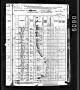 1880 Lincoln Co., TN Census